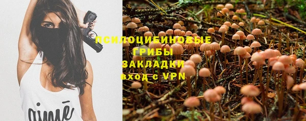 мдма Богданович