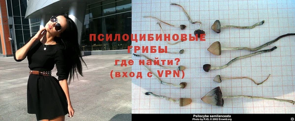 экстази Богородицк