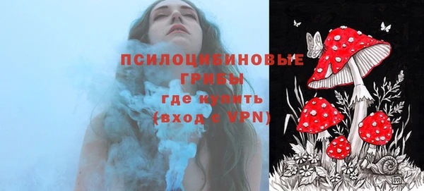 мяу мяу мука Приозерск