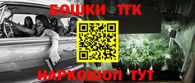 ECSTASY Кингисепп