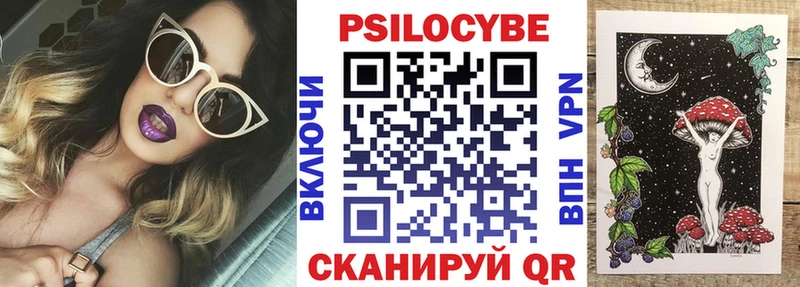 Галлюциногенные грибы Psilocybe  Северск 