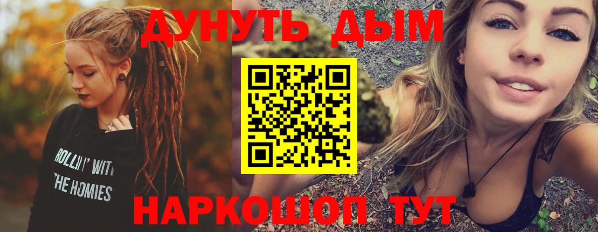 Конопля сатива Северск